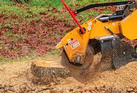 Best Tree Mulching  in Orange, CA